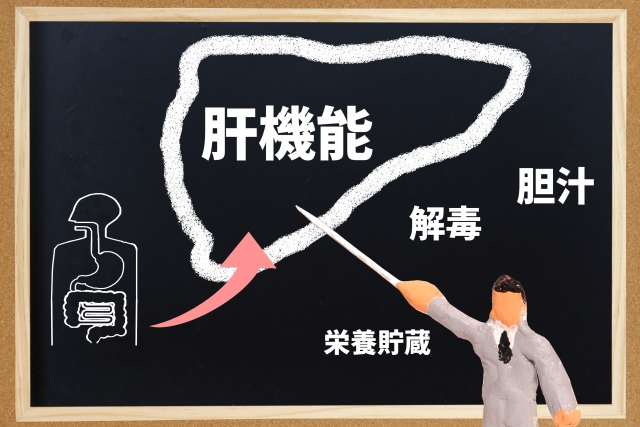 太っていなくてもリスク。脂肪肝になる人の共通点とは？